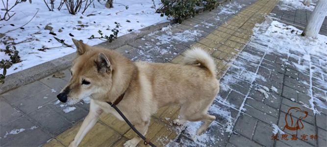 2024.2.22号旗舰店照片！