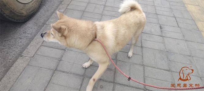 2024.2.26号旗舰店照片！