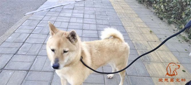 2024.3.1号旗舰店照片！