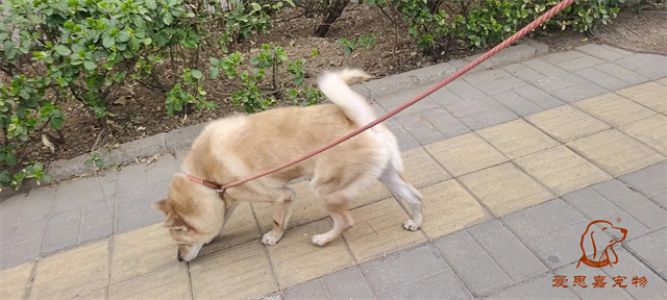 2024.3.24号旗舰店照片！