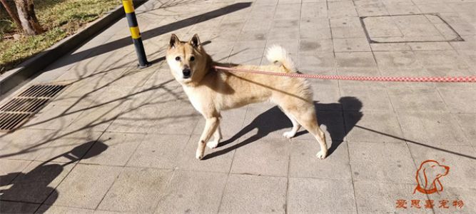 2024.3.28号旗舰店照片！
