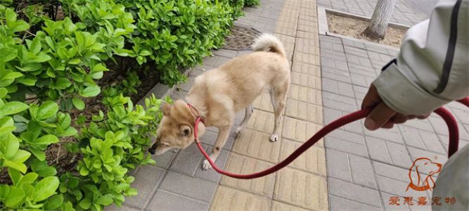 2024.4.10号旗舰店照片！