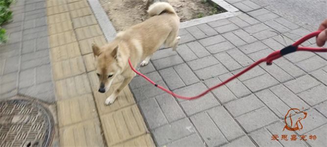 2024.5.20号旗舰店照片！