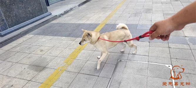 2024.5.22号旗舰店照片！